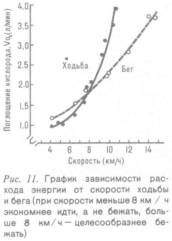 Человек и бег - _9.jpg