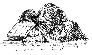 Зоопарк в моей квартире (сборник) - i_011.png