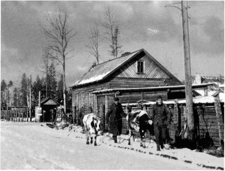 Третья военная зима. Часть 1 - i_084.jpg