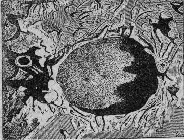 По волнам эфира (Астрономический роман) - i_022.jpg