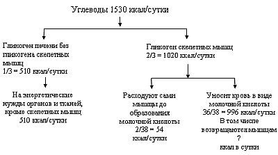 Вегетаринство (Загадки и уроки, польза и вред) - _02.jpg