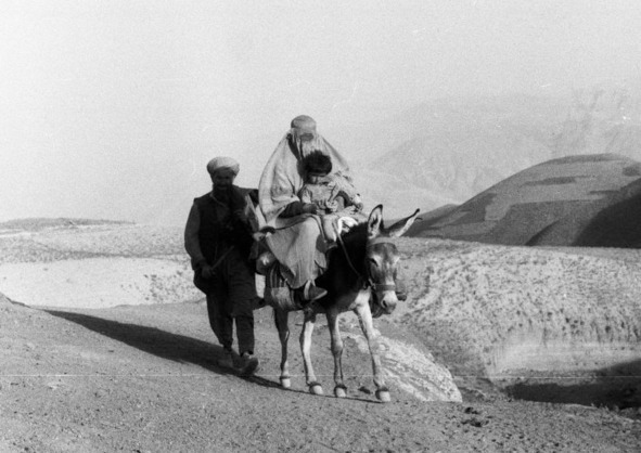 Афганистан триста лет спустя. Автостопом и пешком в 2005 году - image0_572e176368e3fe05009996e5_jpg.jpeg