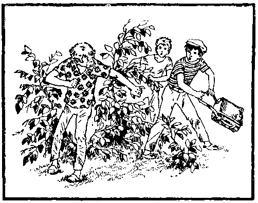 Остров неопытных физиков (илл. Г. Валька) - pic_5.png