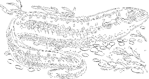 Гребень буйвола - i_024.png