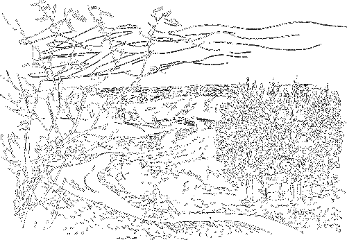 Гребень буйвола - i_025.png