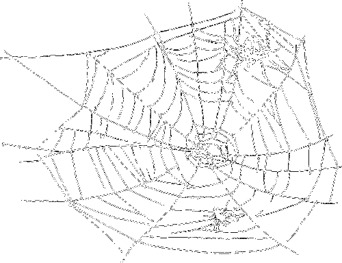 Гребень буйвола - i_026.png