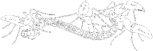 Гребень буйвола - i_029.png