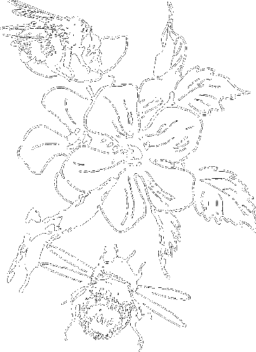 Гребень буйвола - i_031.png