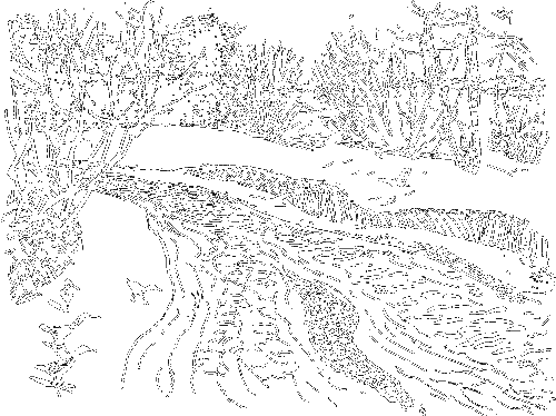 Гребень буйвола - i_032.png