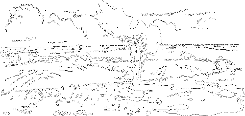 Гребень буйвола - i_035.png