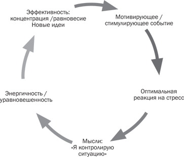 Стрессоустойчивость. Как сохранять спокойствие и эффективность в любых ситуациях - i_002.png