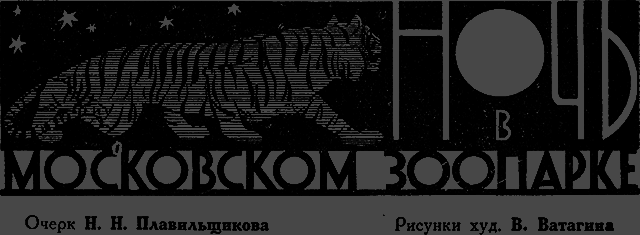 Всемирный следопыт 1928 № 03 - _39_nochvzoo.png