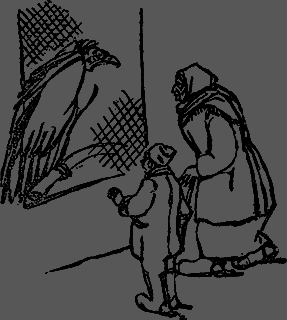 Всемирный следопыт 1929 № 10 - _25_str770.png