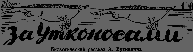 Всемирный следопыт 1929 № 11 - _20_zautkonosami.png