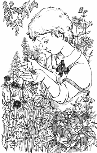 Чудесное лето - i_009.png