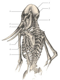 Химера - i_053.jpg