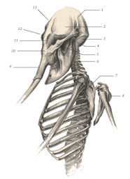 Химера - i_056.jpg