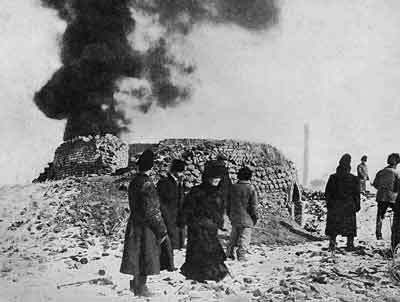 Очерки истории чумы (фрагменты) - _65.jpg