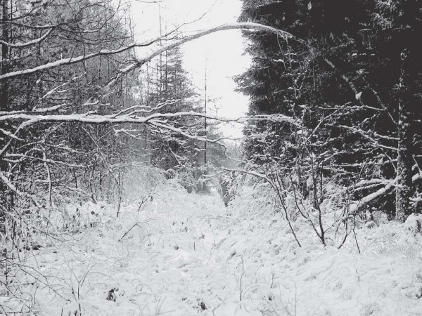 Места силы на карте России - i_006.jpg