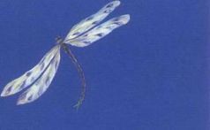 Генные ключи. Открытие высшей цели, заключенной в вашей ДНК - _2.jpg