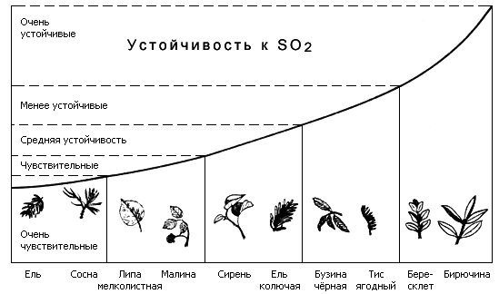 Яды в нашей пище - i_027.png