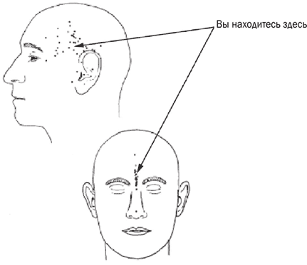 Иллюзия «Я», или Игры, в которые играет с нами мозг - i_003.png