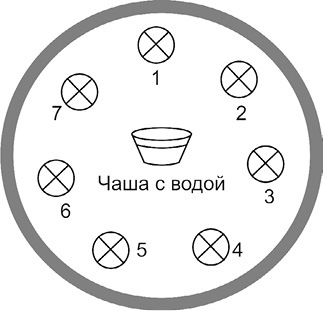 7 минут в день, чтобы желание сбылось - i_038.jpg