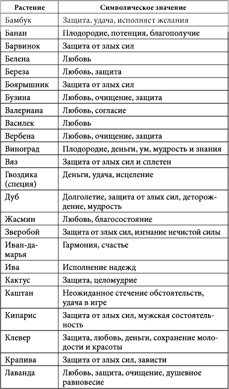 7 минут в день, чтобы желание сбылось - i_045.png