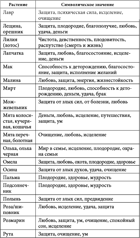 7 минут в день, чтобы желание сбылось - i_046.png