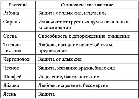 7 минут в день, чтобы желание сбылось - i_047.png