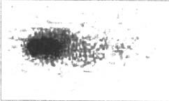 Лучшее за год XXIV: Научная фантастика, космический боевик, киберпанк - i_001.jpg