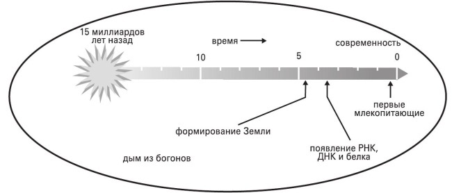 На фейсбуке с сыном - i_001.jpg