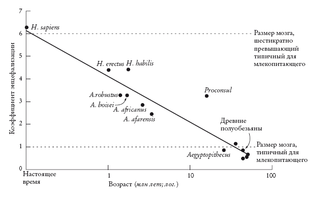 Рассказ предка. Паломничество к истокам жизни - i_005.png