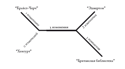 Рассказ предка. Паломничество к истокам жизни - i_016.png