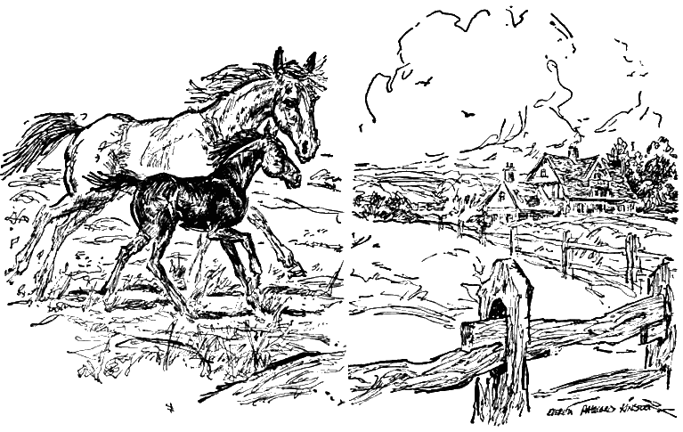 Черный Красавчик (с иллюстрациями) - any2fbimgloader1a.png