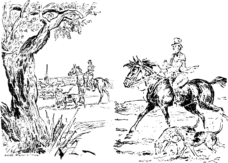 Черный Красавчик (с иллюстрациями) - any2fbimgloader7a.png