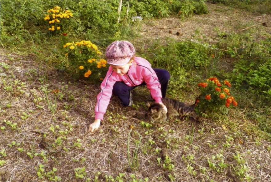 Городим огород в ладу с природой - img_21.jpeg