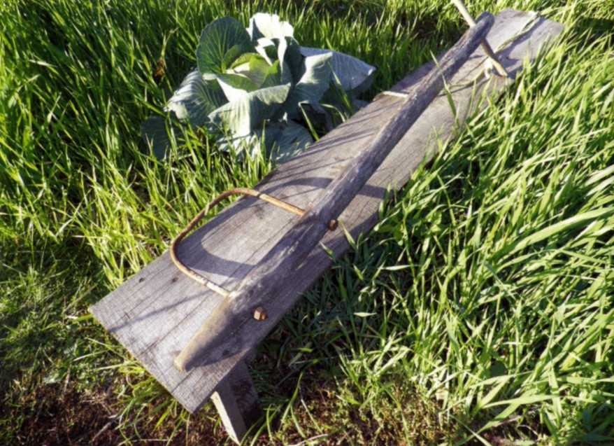 Городим огород в ладу с природой - img_49.jpeg