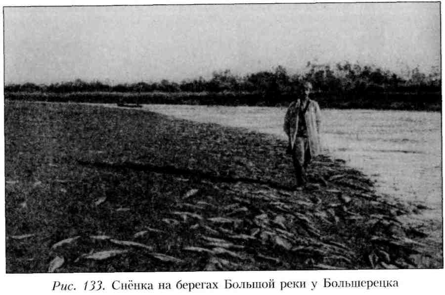 Путешествие по Камчатке в 1908--1909 гг. - _133.jpg