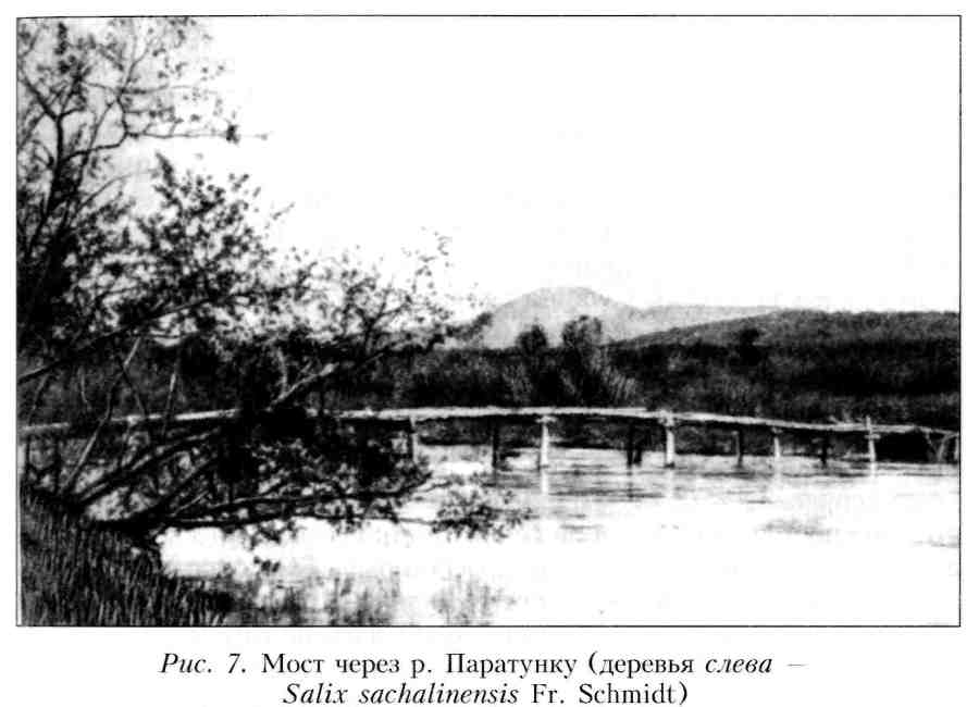 Путешествие по Камчатке в 1908--1909 гг. - _8.jpg