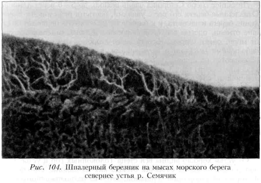 Путешествие по Камчатке в 1908--1909 гг. - _105.jpg