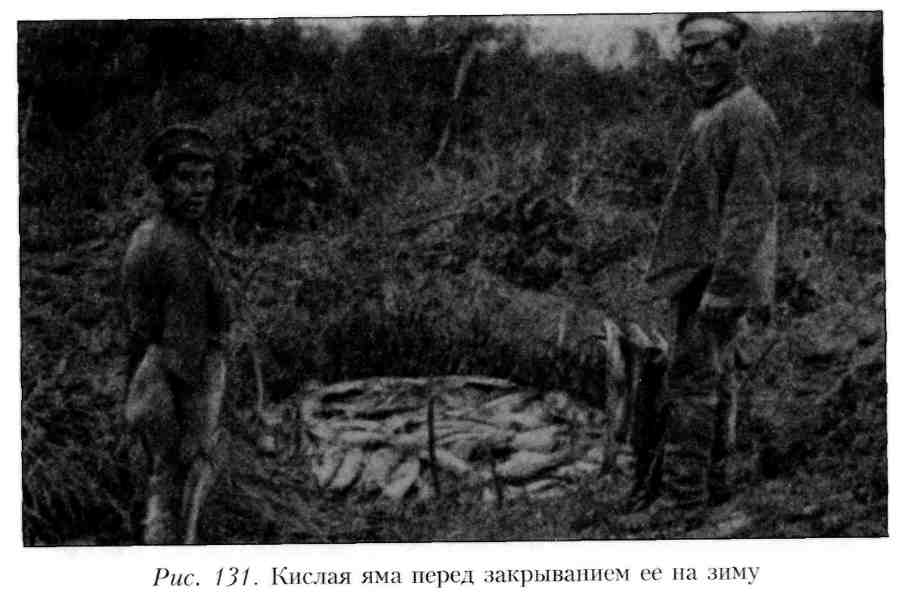 Путешествие по Камчатке в 1908--1909 гг. - _131.jpg