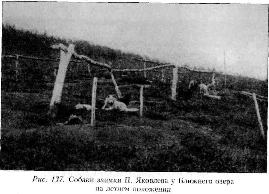 Путешествие по Камчатке в 1908--1909 гг. - _137.jpg