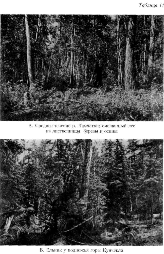 Путешествие по Камчатке в 1908--1909 гг. - _156.jpg