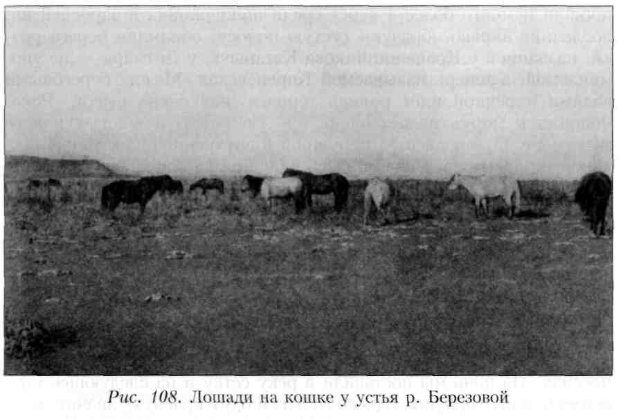 Путешествие по Камчатке в 1908--1909 гг. - _109.jpg