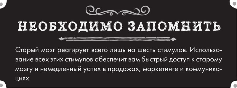 Тренинг по нейромаркетингу. Где находится кнопка «Купить» в сознании покупателя? - i_003.jpg