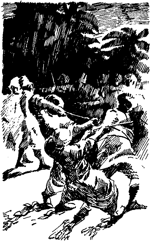 Покоритель джунглей - pic_5.png