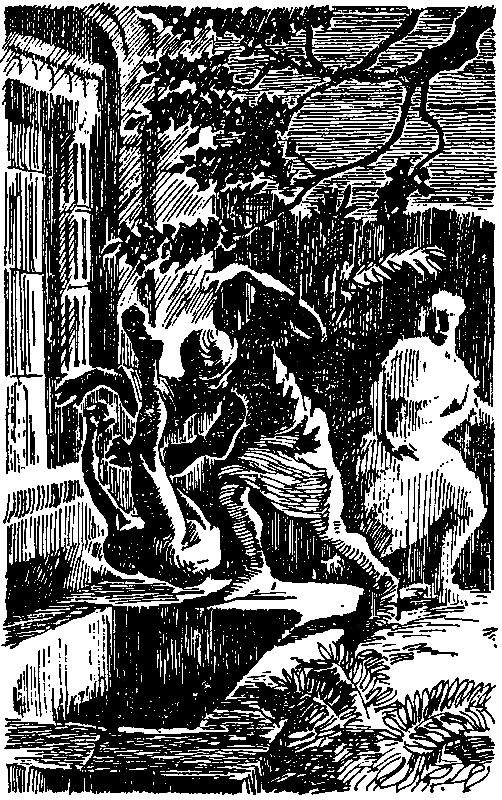 Покоритель джунглей - pic_17.png