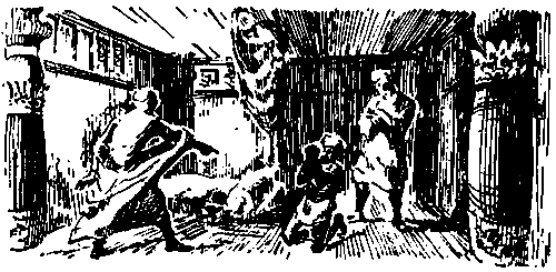 Покоритель джунглей - pic_18.png