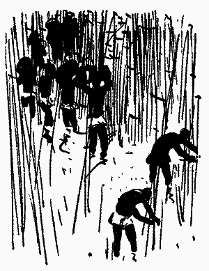 Діаманти Ківі-Ківі - i_014.png